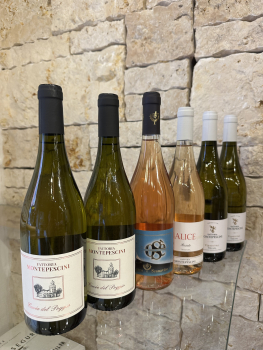 Probierpaket Weißweine / Rosé - Italien